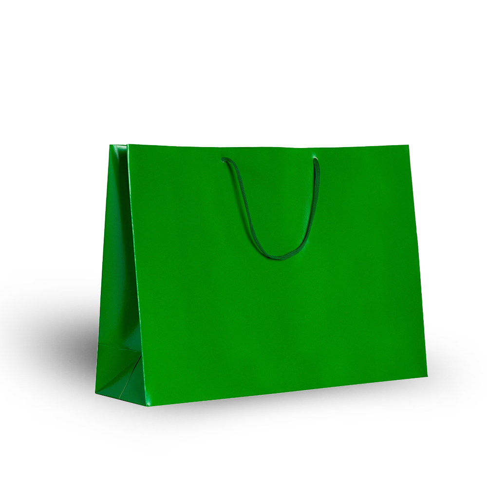 Sacola Papel 39,5x29x12cm 1062 Verde 10 unidades